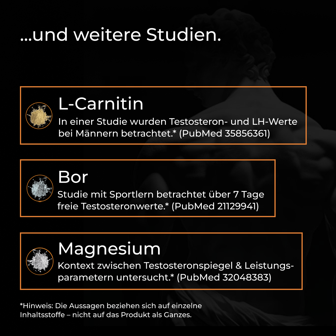 T-Support Komplex