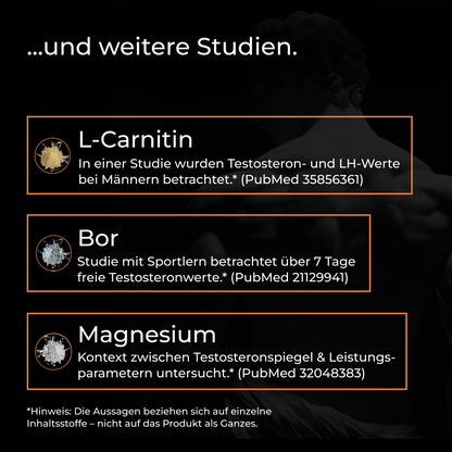 T-Support Komplex
