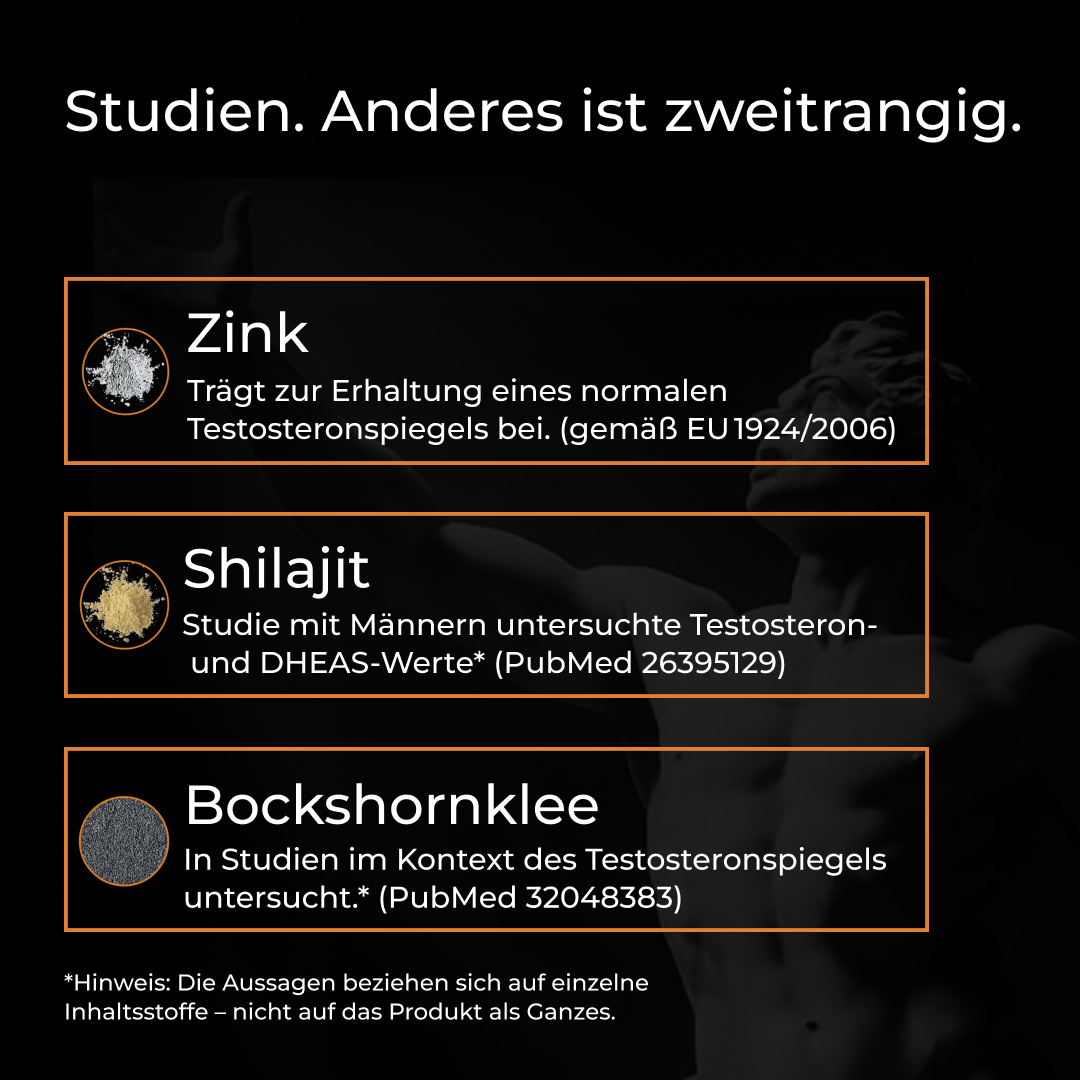 T-Support Komplex