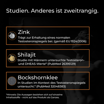 T-Support Komplex