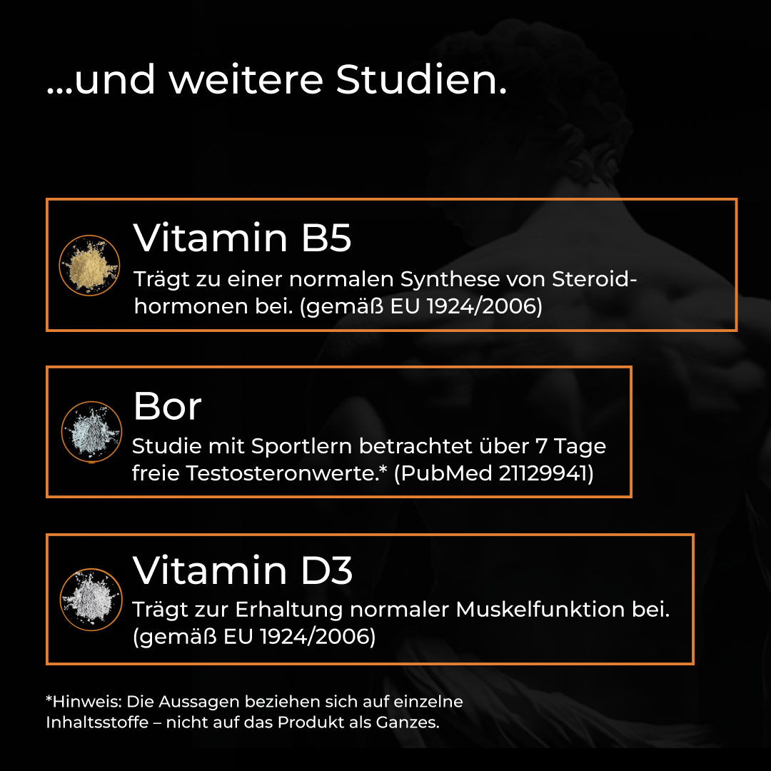 T-Support Komplex