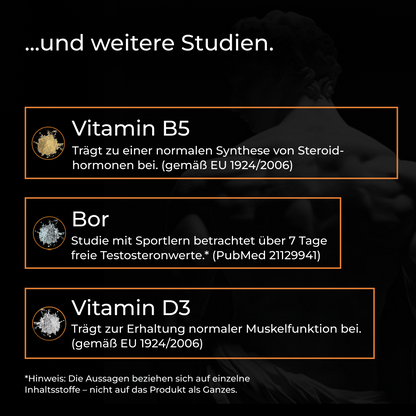 T-Support Komplex