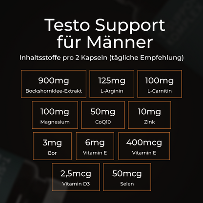 T-Support Komplex
