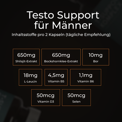 T-Support Komplex